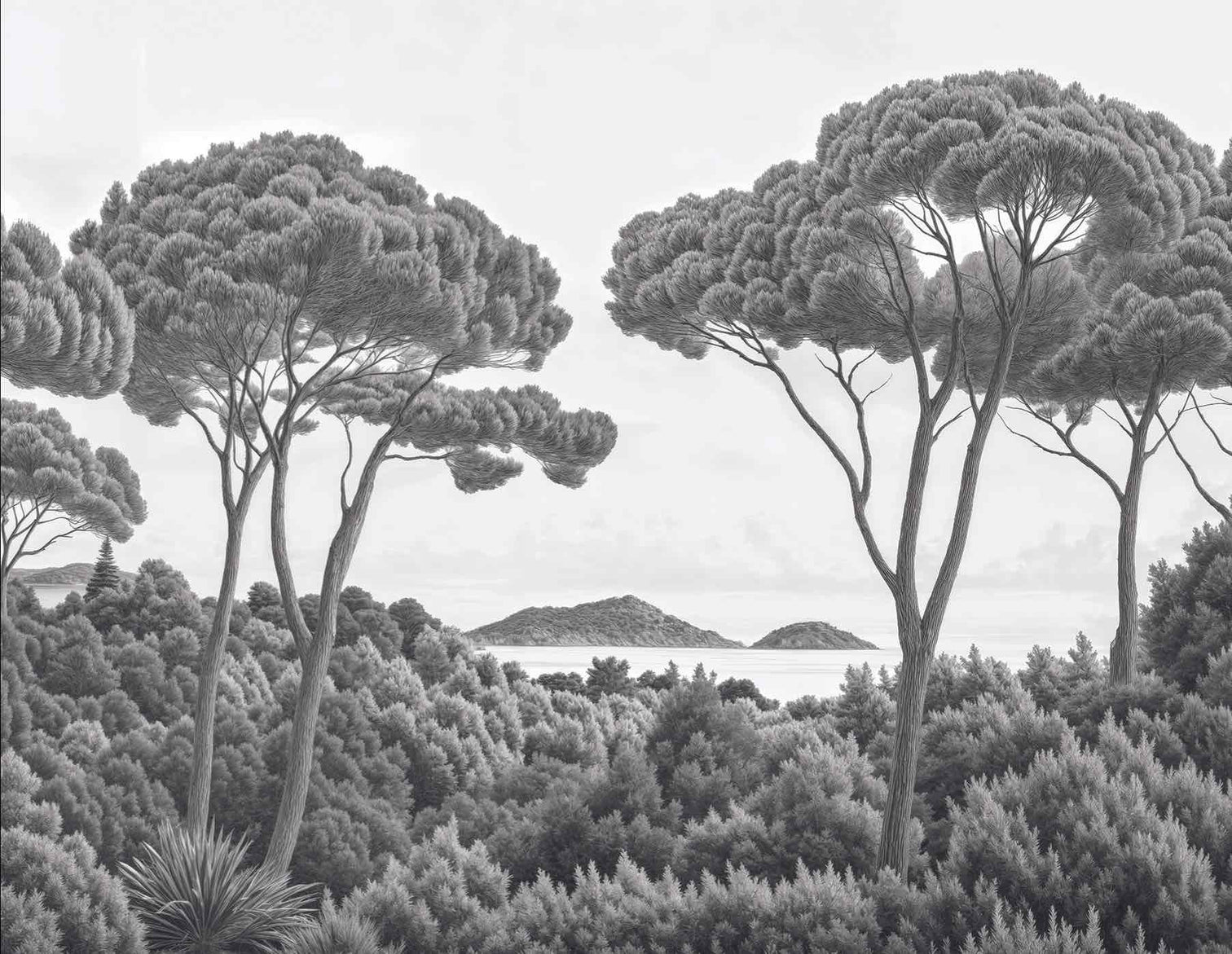 Entre pins et mer – Papier peint forêt méditerranéenne en noir et blanc - Illulart: Papier peint panoramique