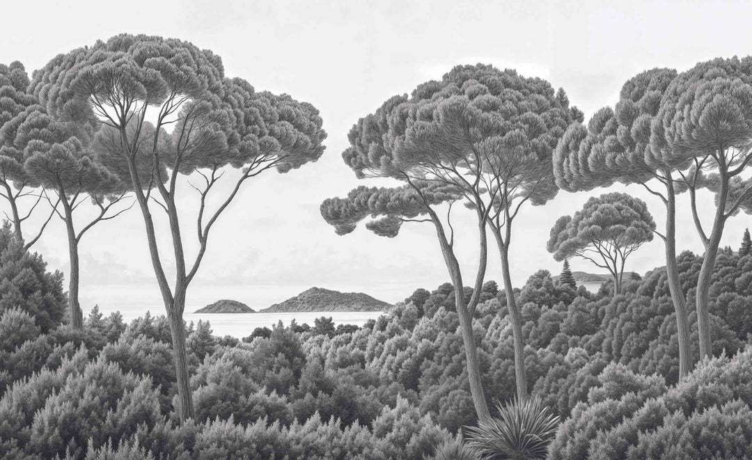 Entre pins et mer – Papier peint forêt méditerranéenne en noir et blanc - Illulart: Papier peint panoramique