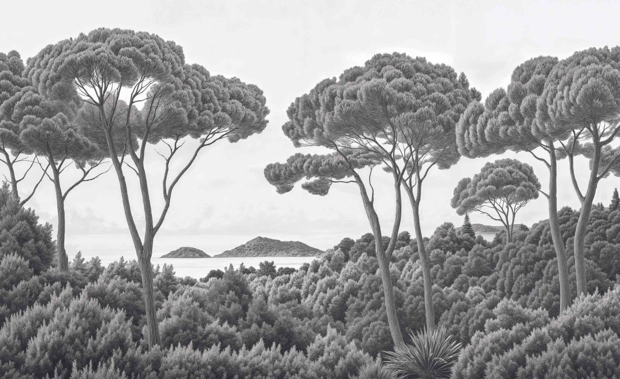 Entre pins et mer – Papier peint forêt méditerranéenne en noir et blanc - Illulart: Papier peint panoramique