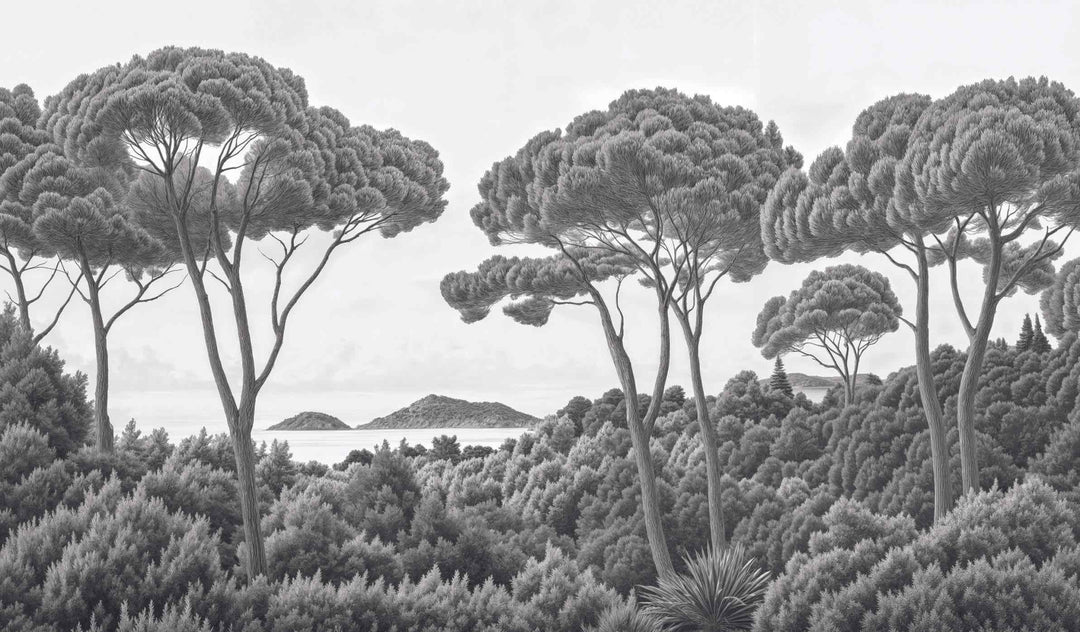 Entre pins et mer – Papier peint forêt méditerranéenne en noir et blanc - Illulart: Papier peint panoramique