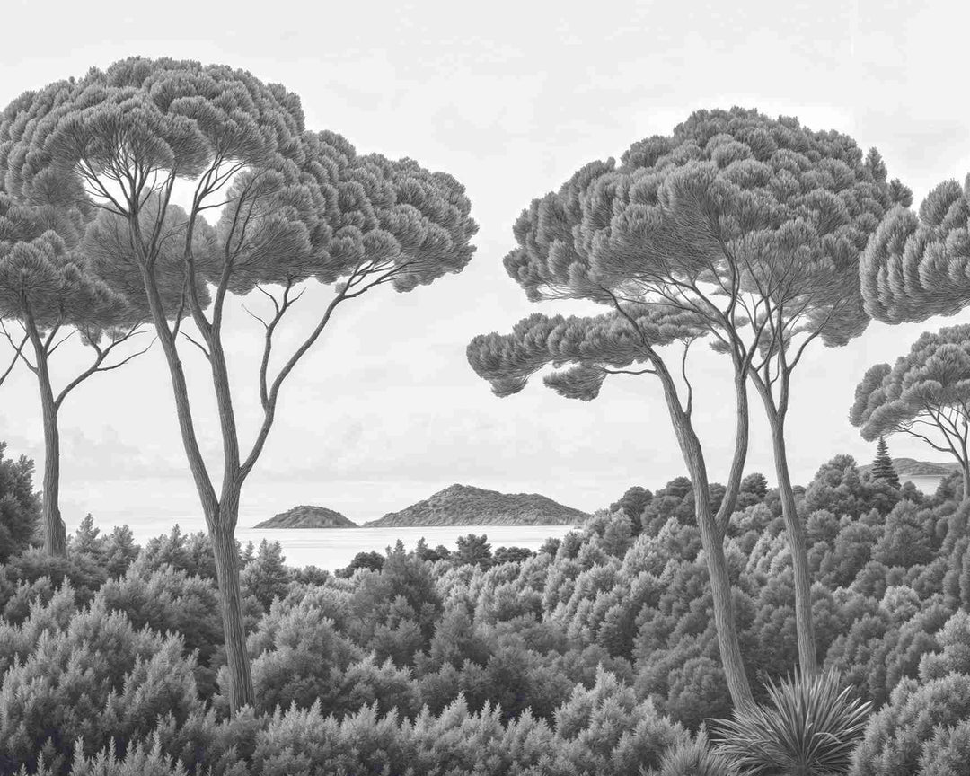 Entre pins et mer – Papier peint forêt méditerranéenne en noir et blanc - Illulart: Papier peint panoramique