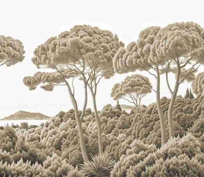 Entre pins et mer – Papier peint forêt méditerranéenne en sépia - Illulart: Papier peint panoramique