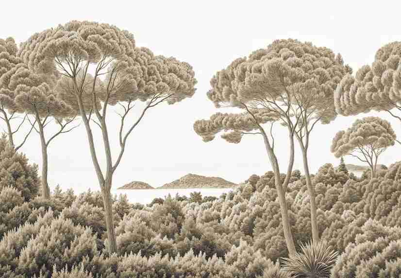 Entre pins et mer – Papier peint forêt méditerranéenne en sépia