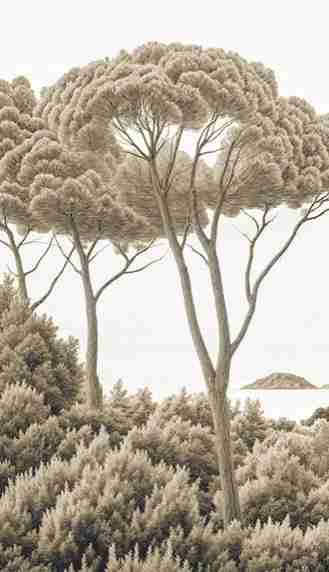 Entre pins et mer – Papier peint forêt méditerranéenne en sépia - Illulart: Papier peint panoramique