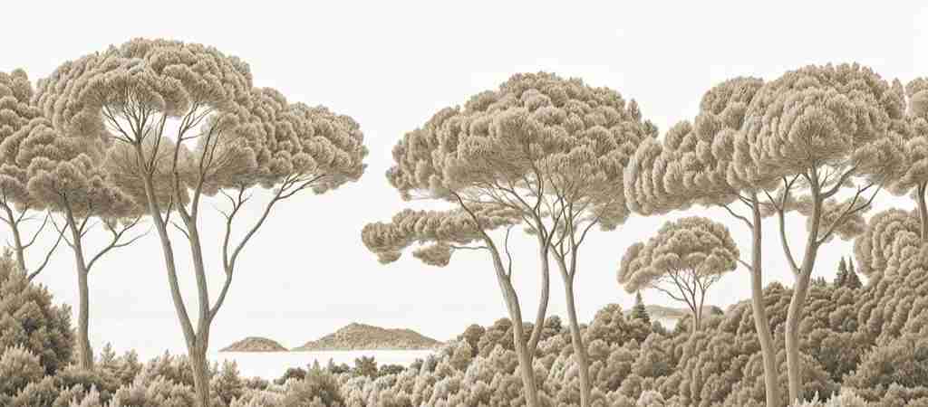 Entre pins et mer – Papier peint forêt méditerranéenne en sépia