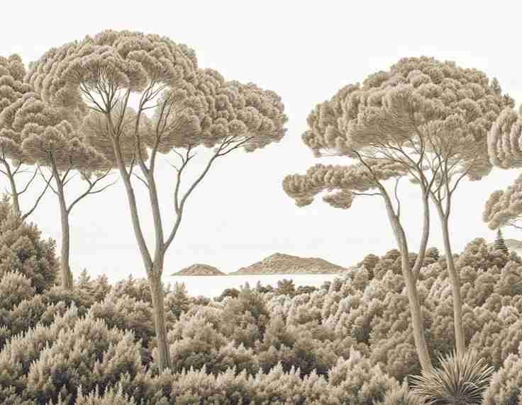 Entre pins et mer – Papier peint forêt méditerranéenne en sépia - Illulart: Papier peint panoramique