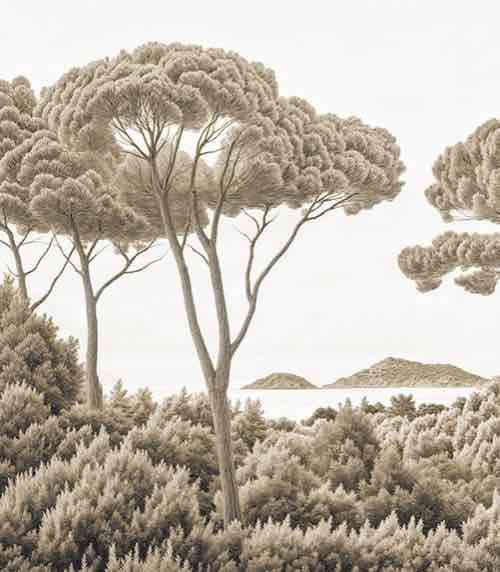 Entre pins et mer – Papier peint forêt méditerranéenne en sépia - Illulart: Papier peint panoramique