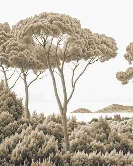 Entre pins et mer – Papier peint forêt méditerranéenne en sépia - Illulart: Papier peint panoramique