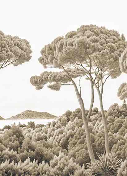 Entre pins et mer – Papier peint forêt méditerranéenne en sépia - Illulart: Papier peint panoramique