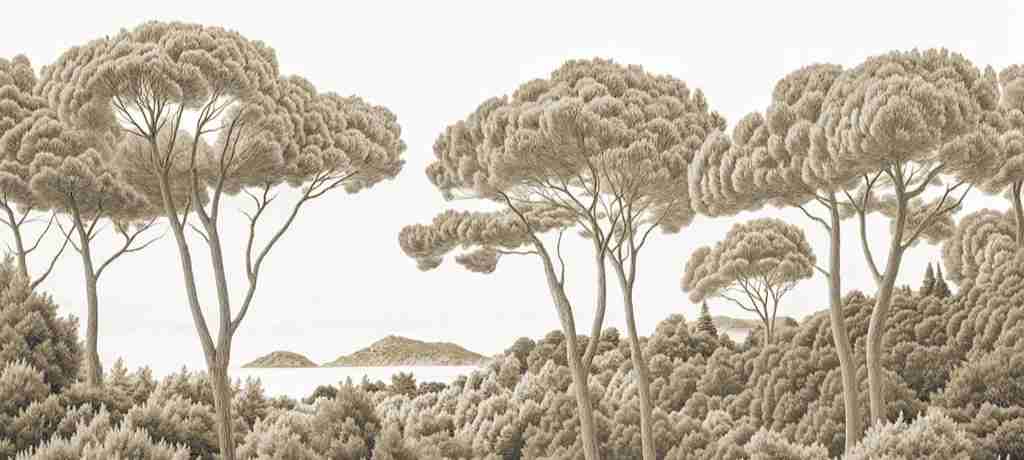 Entre pins et mer – Papier peint forêt méditerranéenne en sépia