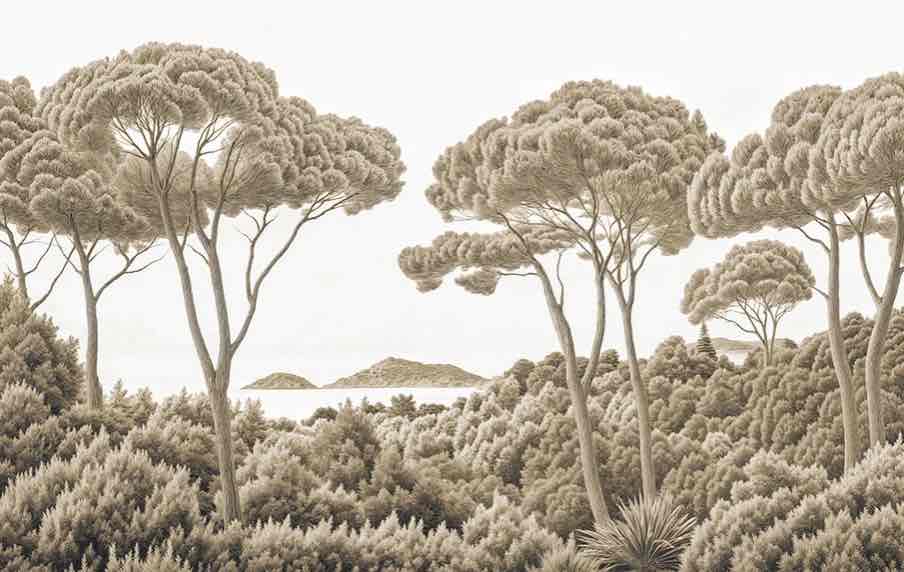 Entre pins et mer – Papier peint forêt méditerranéenne en sépia