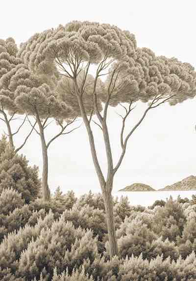 Entre pins et mer – Papier peint forêt méditerranéenne en sépia - Illulart: Papier peint panoramique