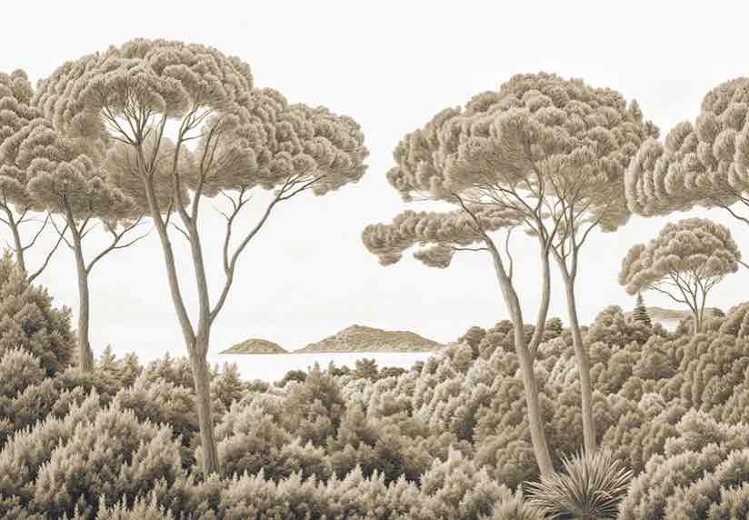 Entre pins et mer – Papier peint forêt méditerranéenne en sépia