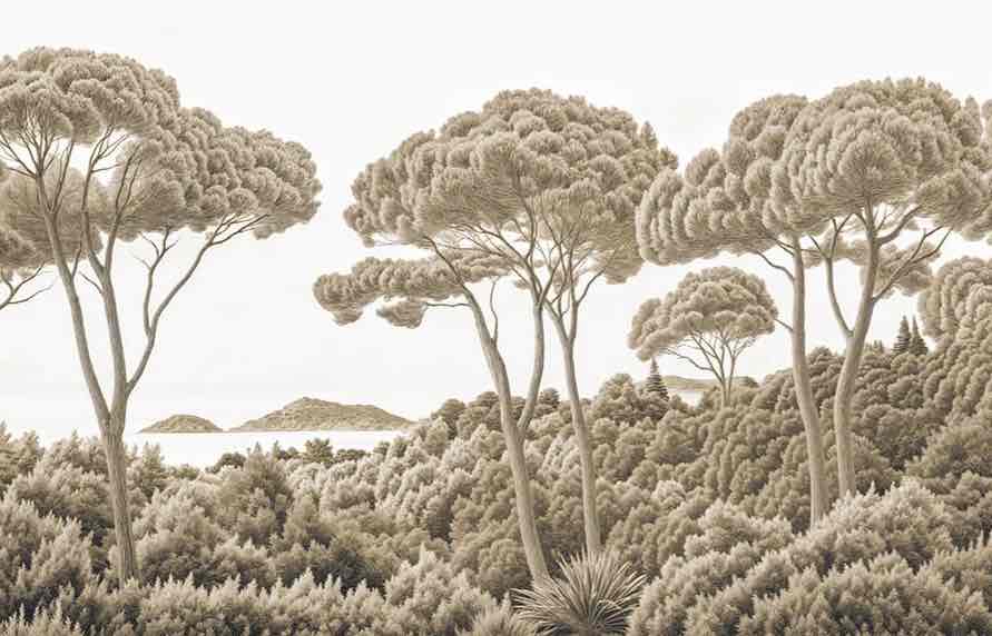 Entre pins et mer – Papier peint forêt méditerranéenne en sépia - Illulart: Papier peint panoramique
