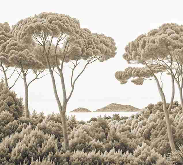 Entre pins et mer – Papier peint forêt méditerranéenne en sépia - Illulart: Papier peint panoramique