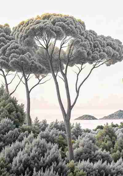 Entre pins et mer – Papier peint forêt méditerranéenne - Illulart: Papier peint panoramique