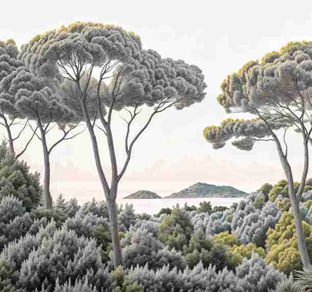 Entre pins et mer – Papier peint forêt méditerranéenne - Illulart: Papier peint panoramique