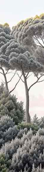 Entre pins et mer – Papier peint forêt méditerranéenne - Illulart: Papier peint panoramique