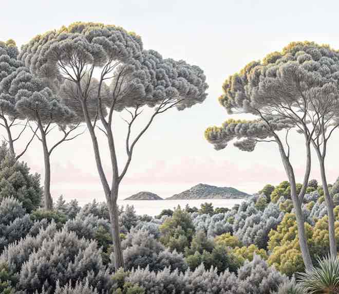 Entre pins et mer – Papier peint forêt méditerranéenne