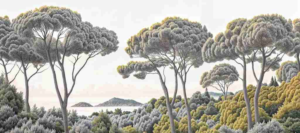 Entre pins et mer – Papier peint forêt méditerranéenne - Illulart: Papier peint panoramique