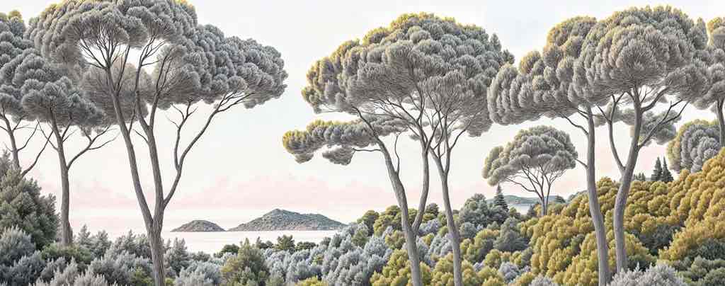 Entre pins et mer – Papier peint forêt méditerranéenne