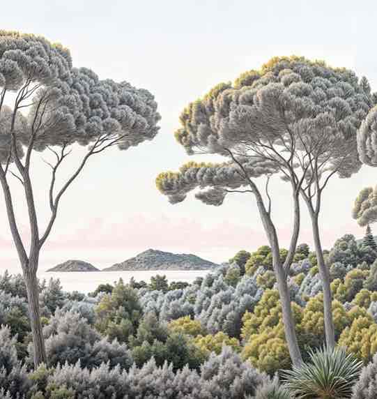 Entre pins et mer – Papier peint forêt méditerranéenne - Illulart: Papier peint panoramique