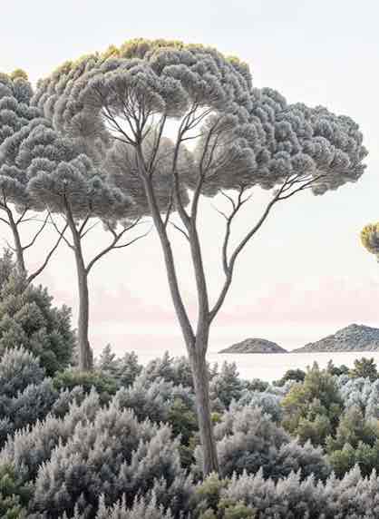 Entre pins et mer – Papier peint forêt méditerranéenne - Illulart: Papier peint panoramique