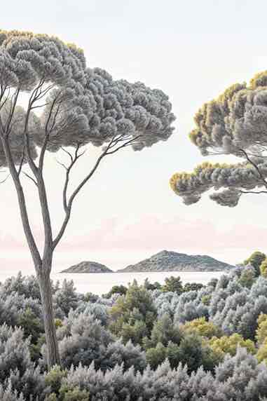 Entre pins et mer – Papier peint forêt méditerranéenne - Illulart: Papier peint panoramique