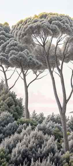 Entre pins et mer – Papier peint forêt méditerranéenne - Illulart: Papier peint panoramique