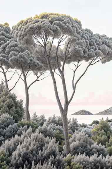 Entre pins et mer – Papier peint forêt méditerranéenne - Illulart: Papier peint panoramique
