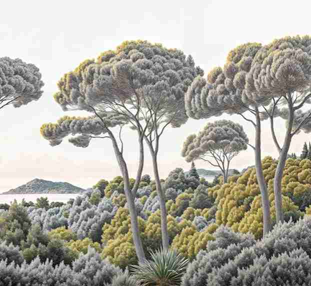 Entre pins et mer – Papier peint forêt méditerranéenne