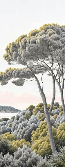Entre pins et mer – Papier peint forêt méditerranéenne - Illulart: Papier peint panoramique