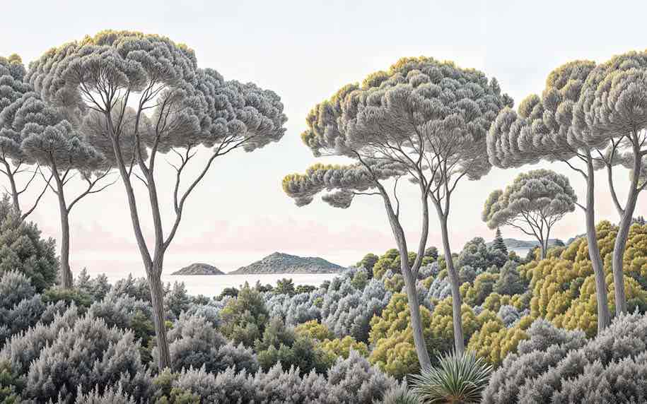 Entre pins et mer – Papier peint forêt méditerranéenne - Illulart: Papier peint panoramique