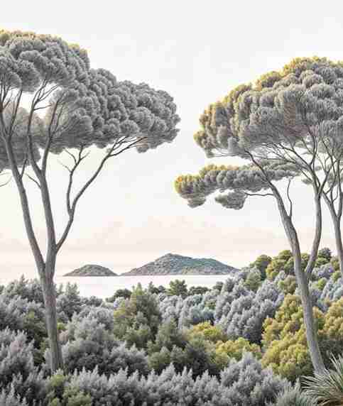 Entre pins et mer – Papier peint forêt méditerranéenne - Illulart: Papier peint panoramique