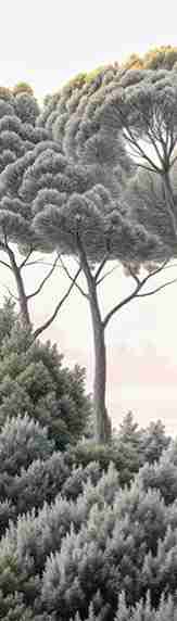 Entre pins et mer – Papier peint forêt méditerranéenne - Illulart: Papier peint panoramique