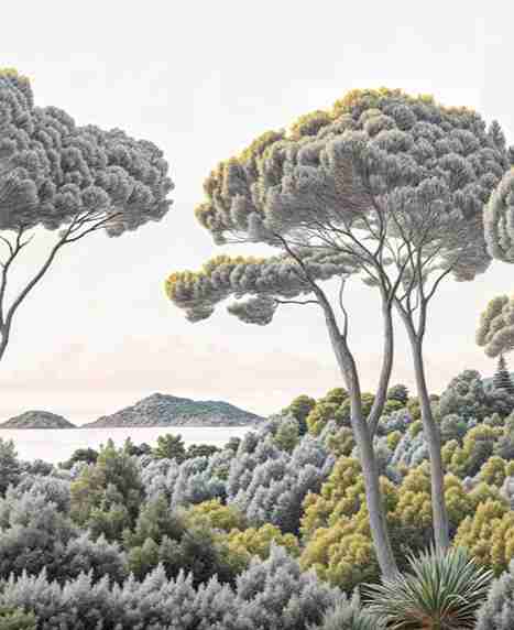 Entre pins et mer – Papier peint forêt méditerranéenne