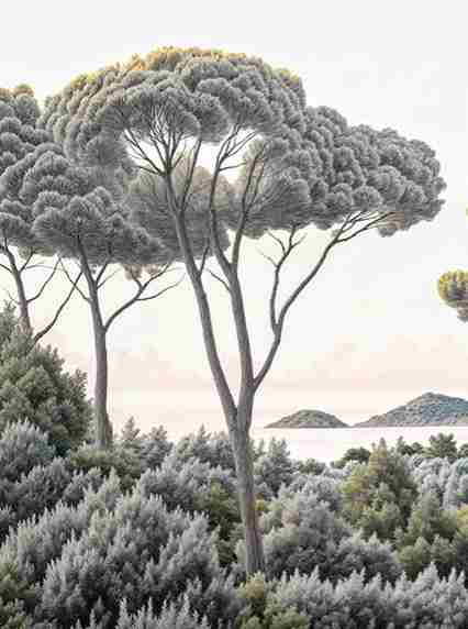 Entre pins et mer – Papier peint forêt méditerranéenne - Illulart: Papier peint panoramique
