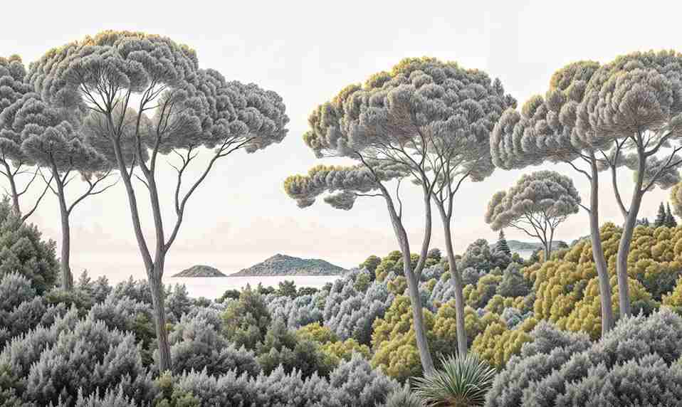 Entre pins et mer – Papier peint forêt méditerranéenne - Illulart: Papier peint panoramique