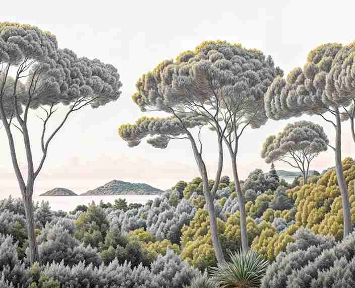 Entre pins et mer – Papier peint forêt méditerranéenne - Illulart: Papier peint panoramique