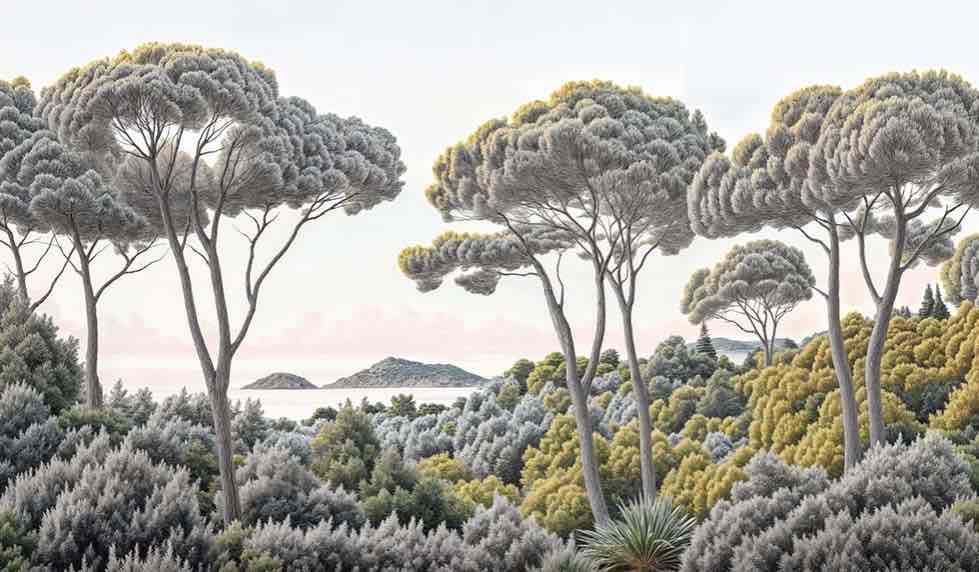Entre pins et mer – Papier peint forêt méditerranéenne - Illulart: Papier peint panoramique