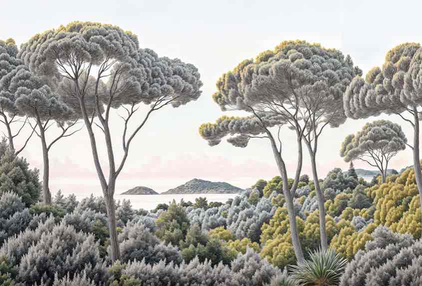 Entre pins et mer – Papier peint forêt méditerranéenne