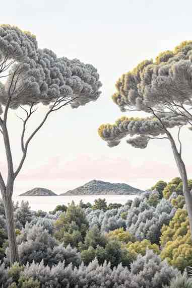 Entre pins et mer – Papier peint forêt méditerranéenne - Illulart: Papier peint panoramique