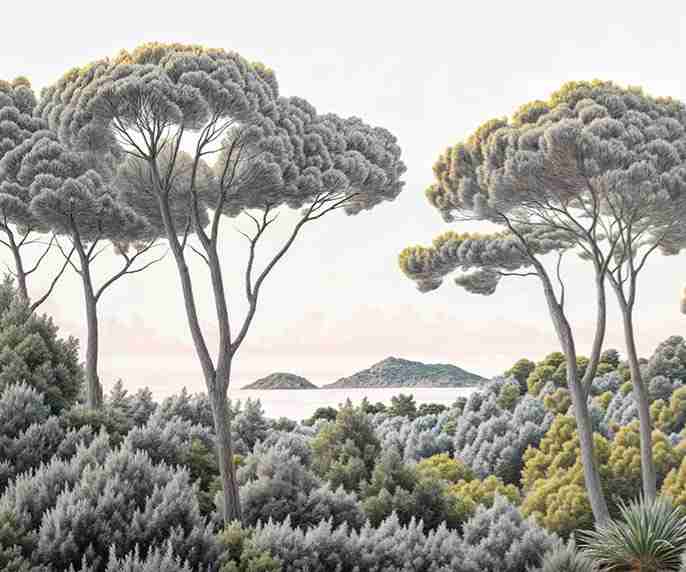 Entre pins et mer – Papier peint forêt méditerranéenne - Illulart: Papier peint panoramique