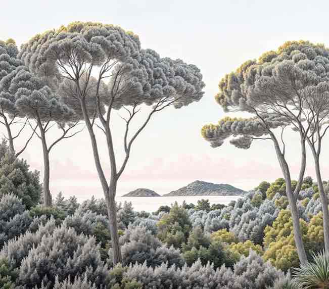 Entre pins et mer – Papier peint forêt méditerranéenne - Illulart: Papier peint panoramique