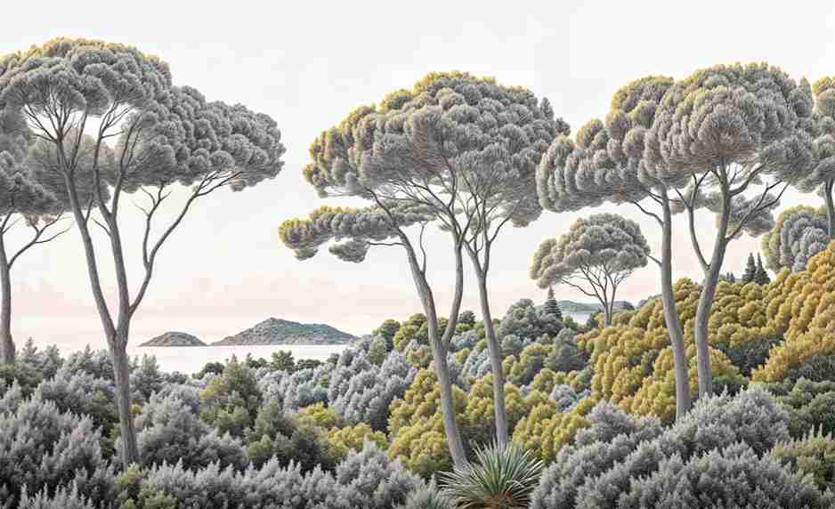 Entre pins et mer – Papier peint forêt méditerranéenne