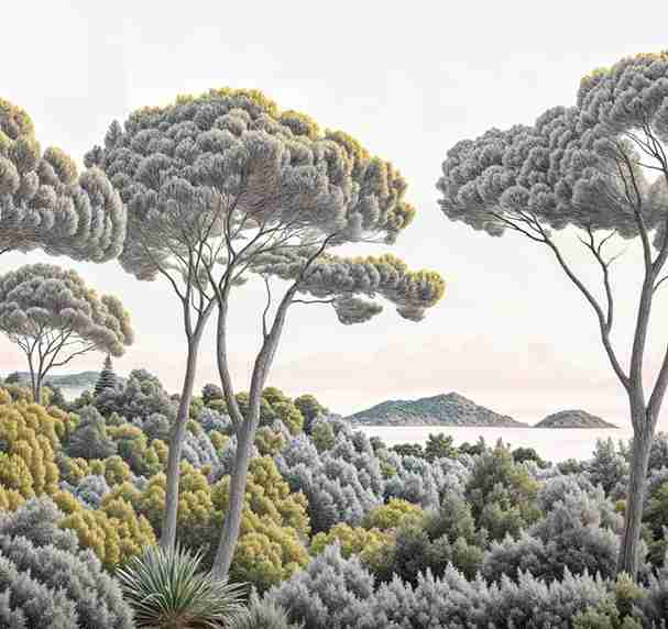 Entre pins et mer – Papier peint forêt méditerranéenne - Illulart: Papier peint panoramique