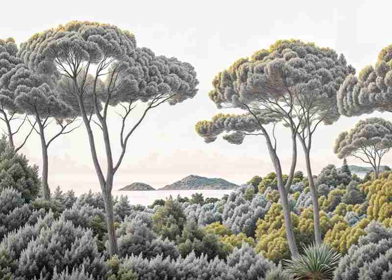 Entre pins et mer – Papier peint forêt méditerranéenne - Illulart: Papier peint panoramique