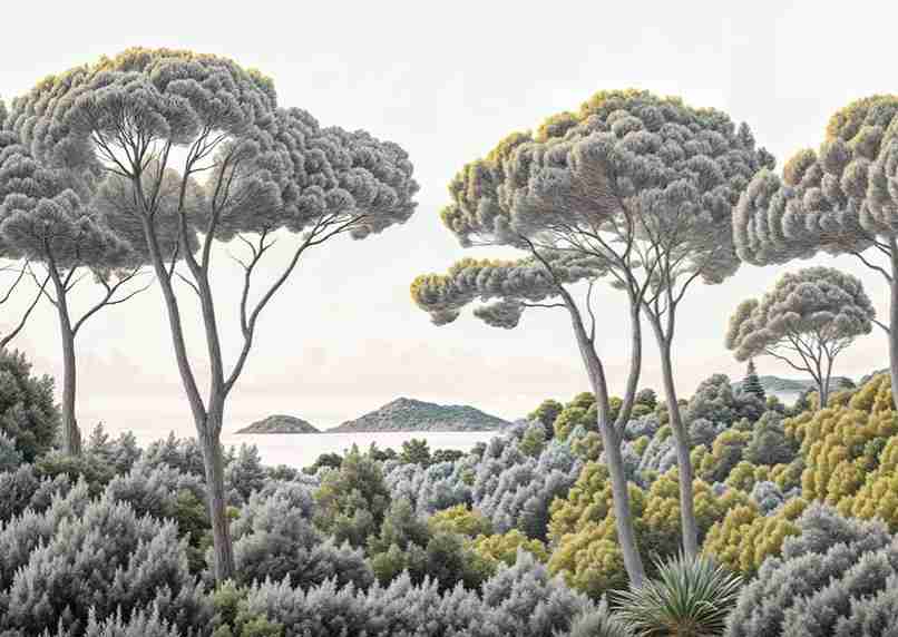 Entre pins et mer – Papier peint forêt méditerranéenne - Illulart: Papier peint panoramique