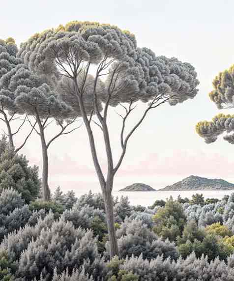 Entre pins et mer – Papier peint forêt méditerranéenne - Illulart: Papier peint panoramique