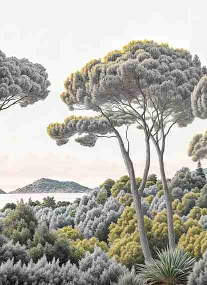 Entre pins et mer – Papier peint forêt méditerranéenne